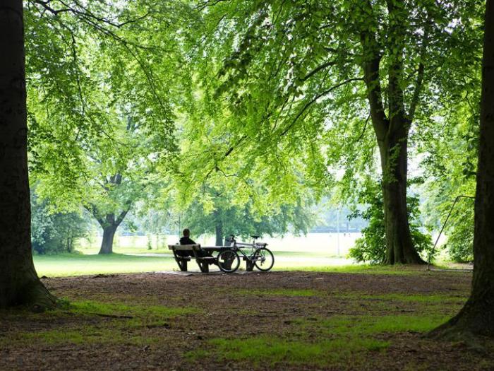 CO₂: 𝙍𝙤𝙗 𝙉𝙤𝙧𝙢𝙖𝙣